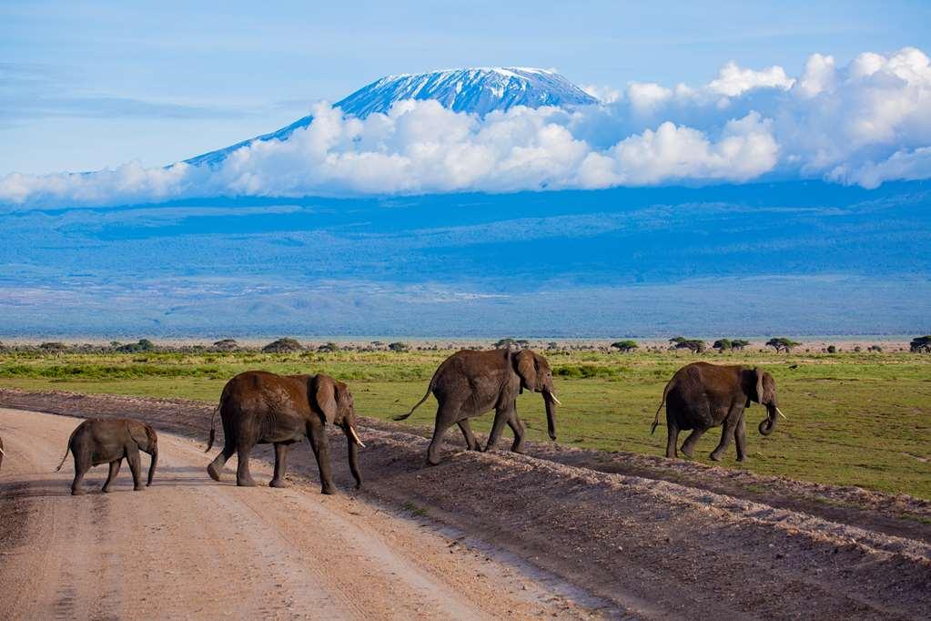 Amboseli Serena Safari Lodge Instalações foto