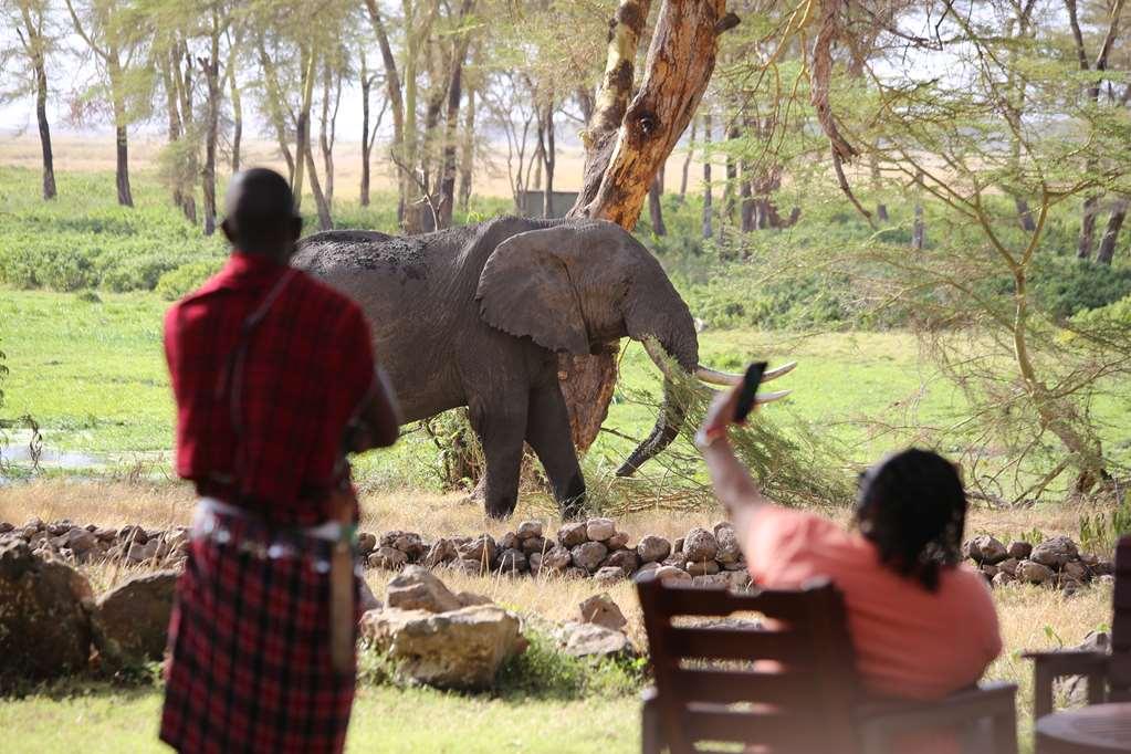 Amboseli Serena Safari Lodge Instalações foto