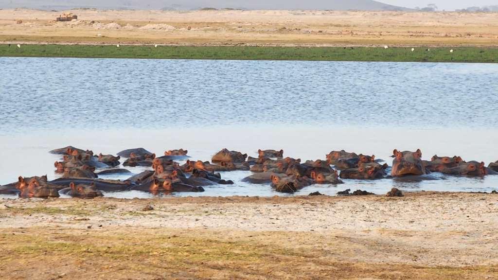 Amboseli Serena Safari Lodge Instalações foto
